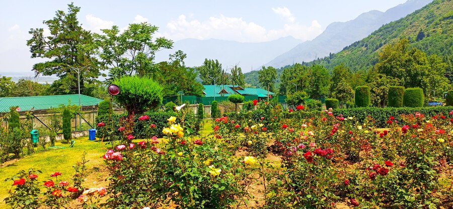 beautiful-view-mountains-sunny-day-kashmir-gulmarg_221414-932