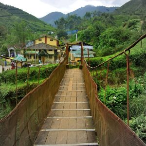 boardwalk-bridge-leading-rural-area-within-mountain-range_1048944-15799207