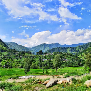 scenic-view-green-landscape-against-sky_1048944-9240462